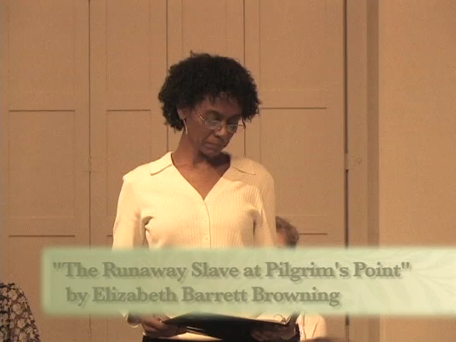 The Runaway Slave at Pilgrims Point